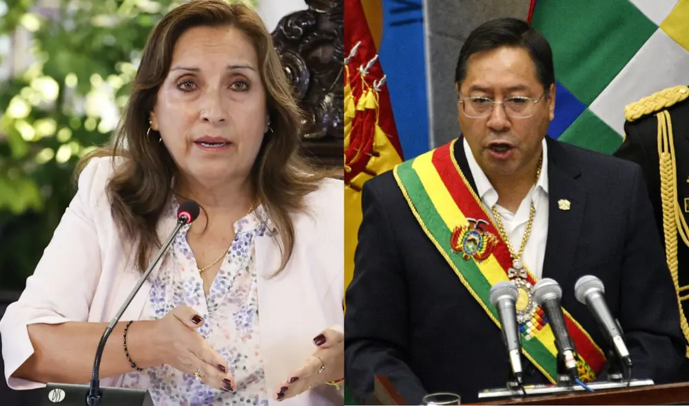 El ministro Adrianzén se refirió en relación a lo que viene sucediendo en la nación sureña. Foto: composiciónLR/Andina/difusión