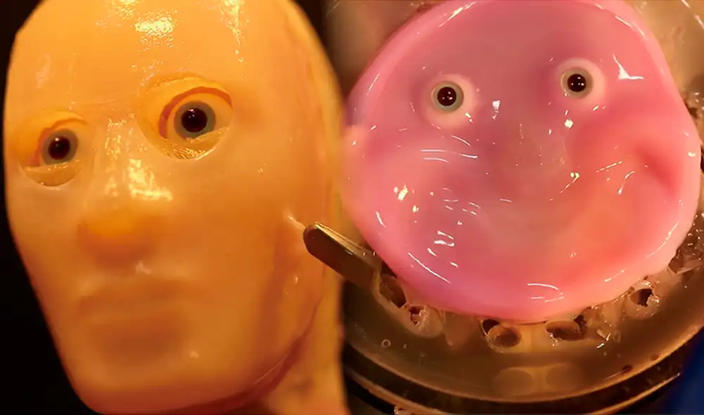 Con estas 'pieles vivas', los robots podrán sonreír como un humano. Foto: Cell Reports