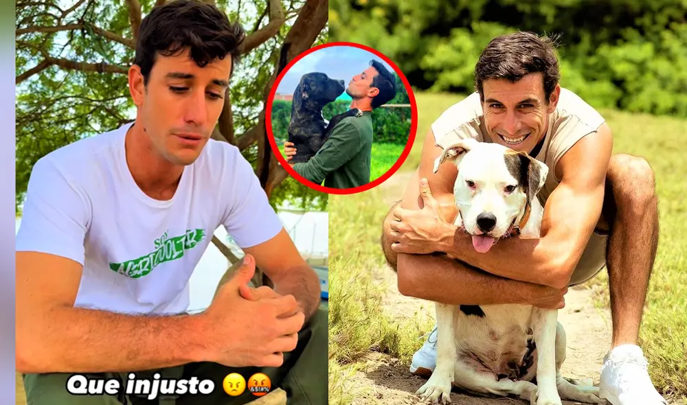 Duilio Vallebuona se enteró de la noticia del robo mientras estaba de viaje en Tumbes. Foto: composición LR/Instagram/Duilio Vallebuona - Video: Instagram/Duilio Vallebuona