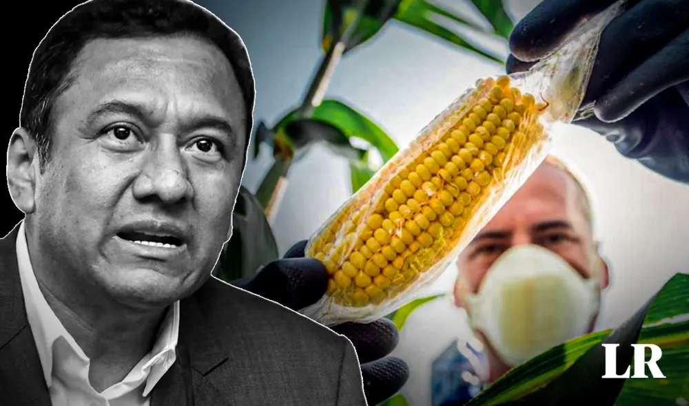 Moratoria seguirá vigente hasta 2035. Foto: Jazmin Ceras - LR Moratoria seguirá vigente hasta 2035. Foto: Jazmin Ceras - LR