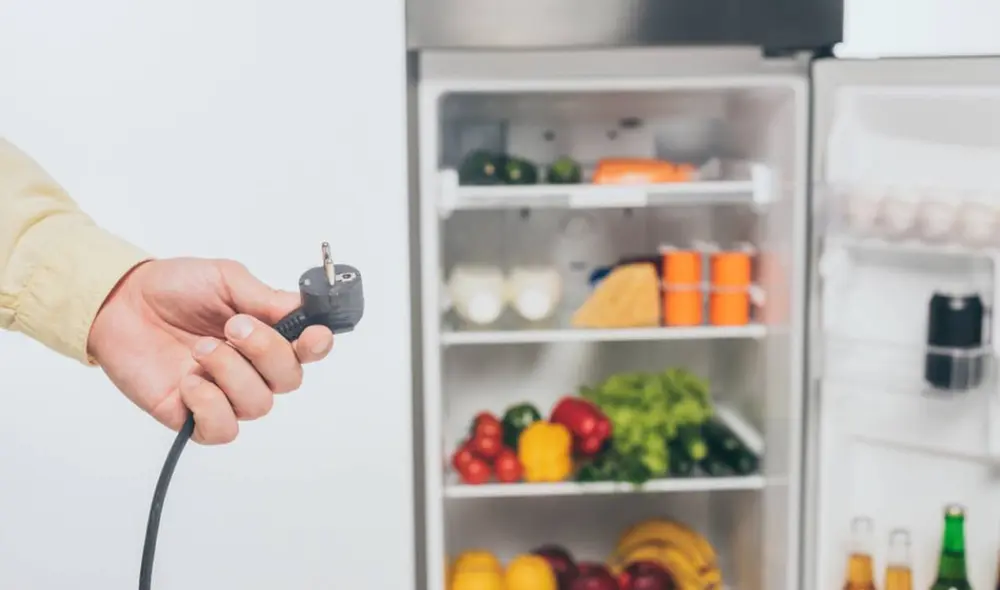 Descubre por qué es importante que dejes reposar tu refrigeradora antes de enchufarlo por primera vez. Foto: PlazaVea