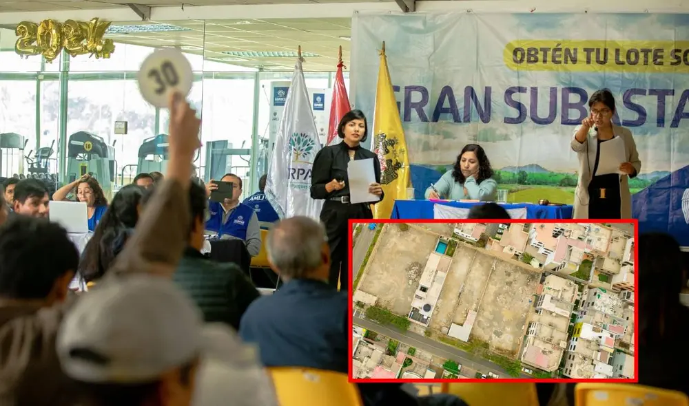 Los lotes que rematará sunat se encuentran ubicados en Carabayllo, Puente Piedra, Santa Rosa, Pachacamac, La Molina y Santiago de Surco. Foto: composición LR/Andina