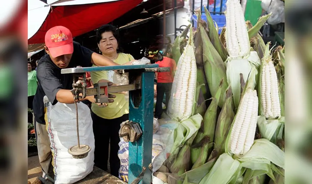 Descubre dónde encontrar el kg de choclo más barato. Foto: Composición LR/Andina.