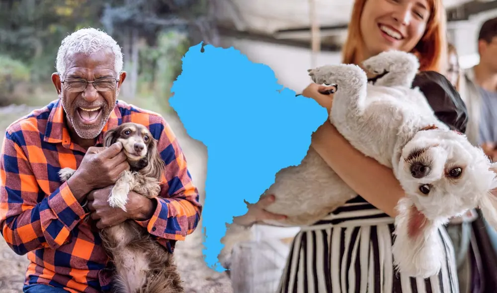 La alta tenencia de mascotas en esta nación de Sudámerica ha generado un impacto económico positivo y diversificado. Foto: composición LR/Unsplash/iStock