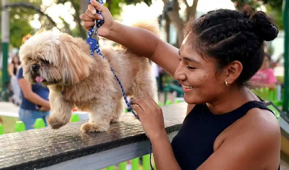 Los asistentes al Patatón 2024 podrán disfrutar de actividades gratuitas como campañas veterinarias, vacunaciones, consultas y más. Foto: Andina