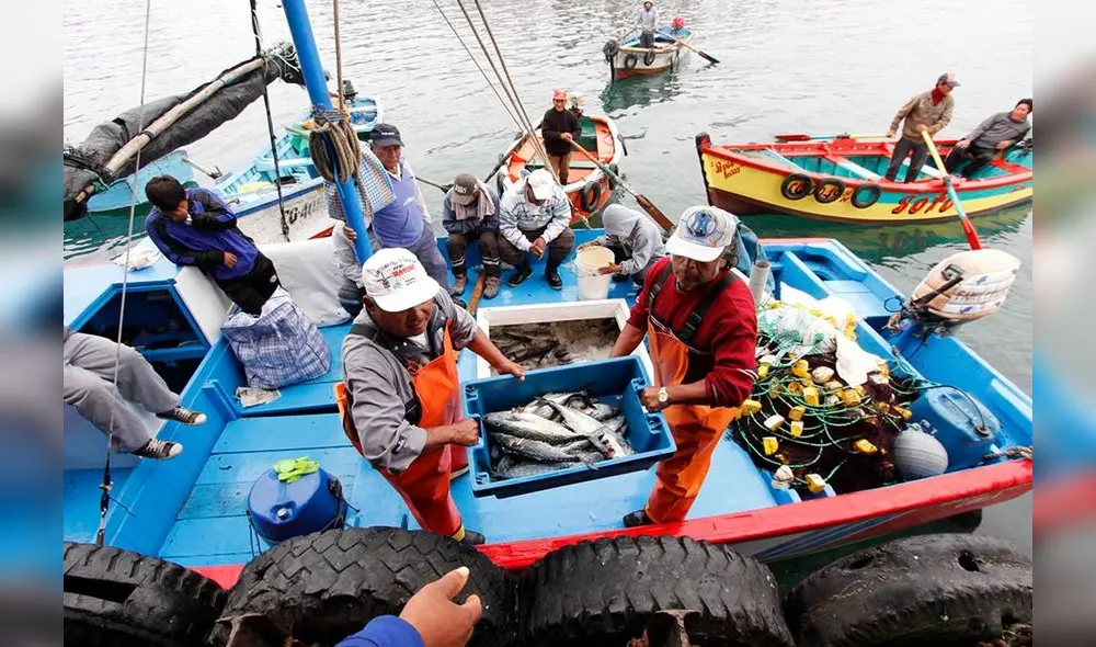 Los gremios de los pescadores artesanales se oponen a un reglamento que afecta sus actividades. Los gremios de los pescadores artesanales se oponen a un reglamento que afecta sus actividades.