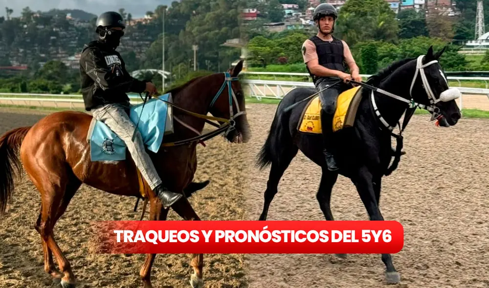 Revisa AQUÍ los últimos datos y pronósticos más acertados para aspirar a un cuadro único con 6 aciertos. Foto: composición LR / INH