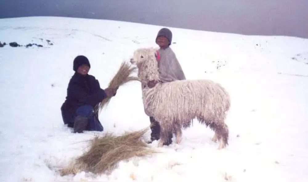 Temperaturas en regiones del Perú llegarían a los -17ºC. Foto: Difusión