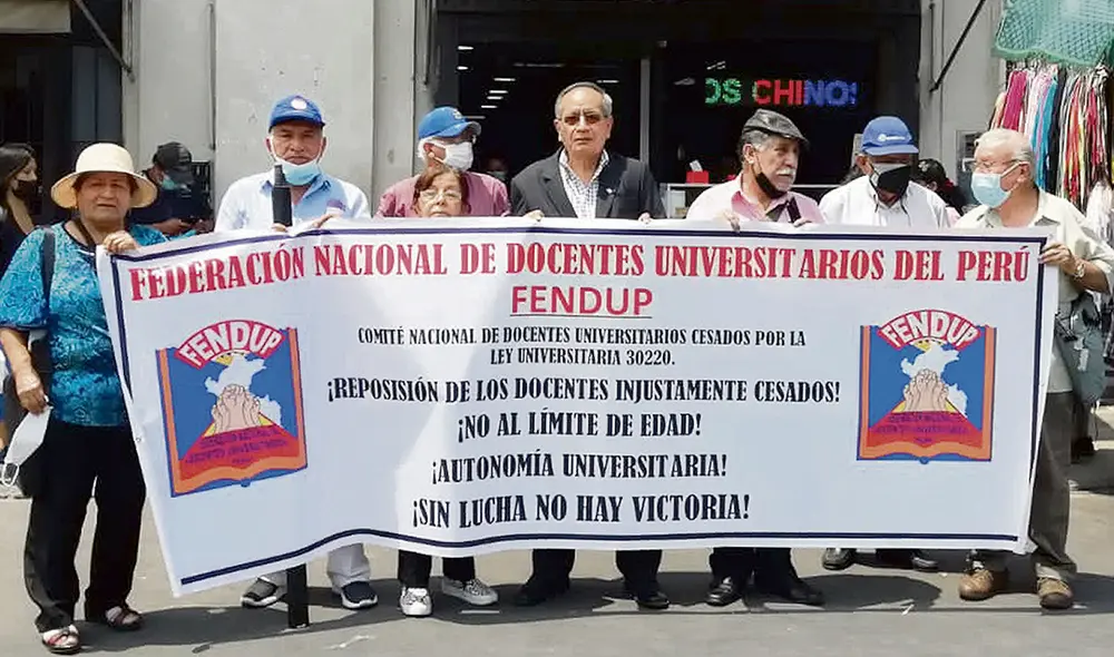 Docentes universitarios esperaron varios años por este derecho. Difusión