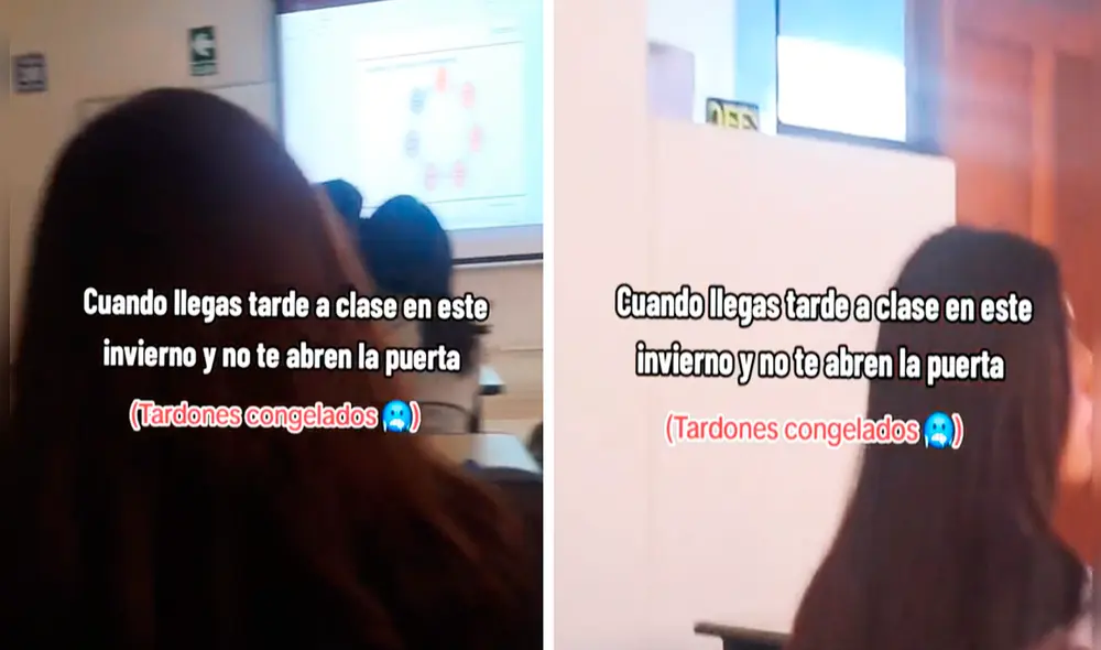 Las imágenes sacaron miles de sonrisas a los usuarios en las redes sociales. Foto: composición LR/TikTok