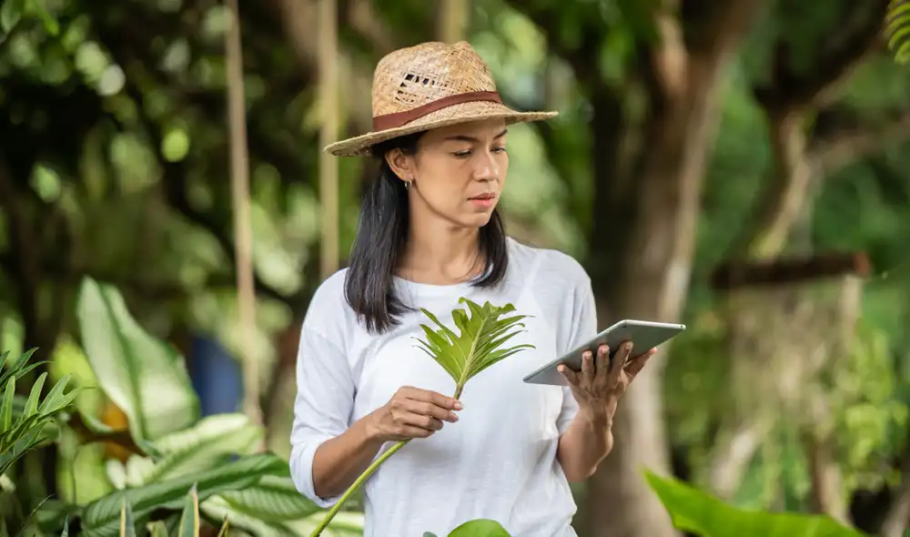 Se realizarán actividades desde el 8 al 12 de julio. Foto: Concytec