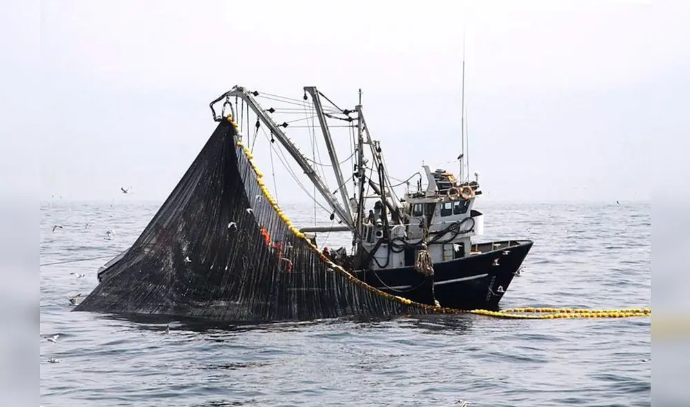 Sonapescal y la SNI cuestionan al Produce por su inacción. Foto: difusión