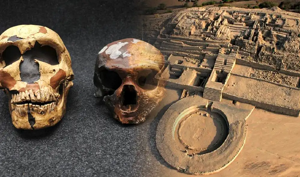 El estudio estuvo a cargo de la Dra. Shixia Yang del Institute of Vertebrate Paleontology and Paleoanthropology (IVPP) de la Chinese Academy of Science. Foto: composición LR/National Geographic