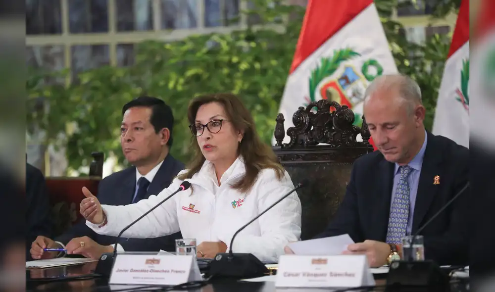 La mandataria tendrá que tomar una decisión frente a una norma que ha sido cuestionada desde su presentación en el Congreso. Foto: Presidencia del Perú.