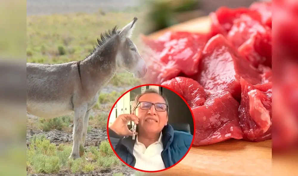 Presidente de productores de Carne Bovina aclaró que antes de pandemia se exportaba la piel del burro, sin embargo, en la actualidad ya no es así. Foto: Composición LR/CanalN.