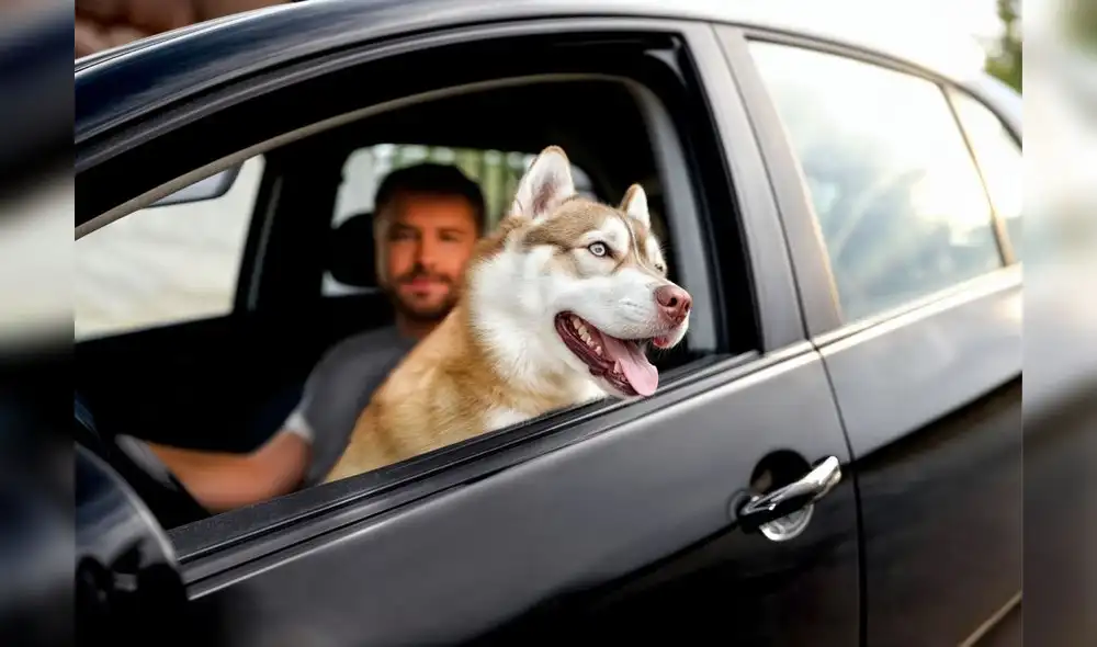 Foto: difusión Foto: difusión