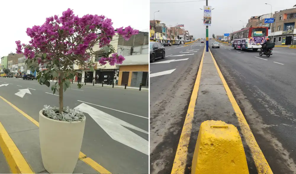 Macetas colocadas por la Municipalidad de Lima fueron retiradas. Foto: composición LR/Miguel Calderón/LR/Municipalidad de Lima/X Macetas colocadas por la Municipalidad de Lima fueron retiradas. Foto: composición LR/Miguel Calderón/LR/Municipalidad de Lima/X