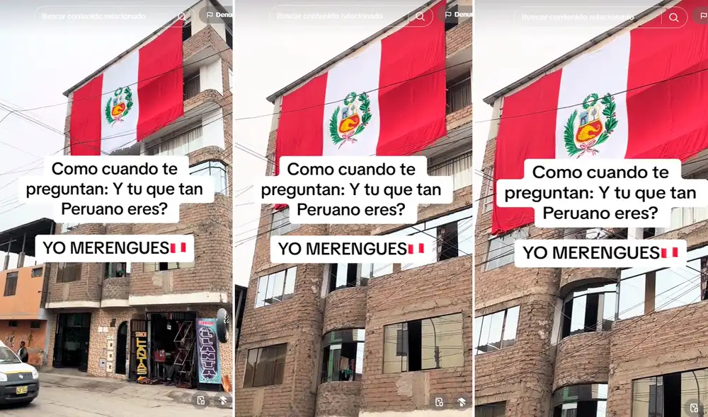 Usuarios aplaudieron el gran amor hacía el país, pero recomendaron no usar el escudo del Perú. Foto: composición LR/TikTok