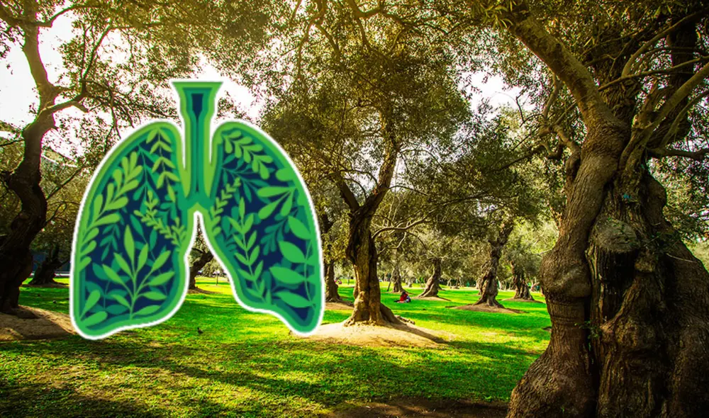 Fue declarado Monumento Nacional en 1959 y Zona Monumental en 1998. Foto: composición LR/Municipalidad de San Isidro