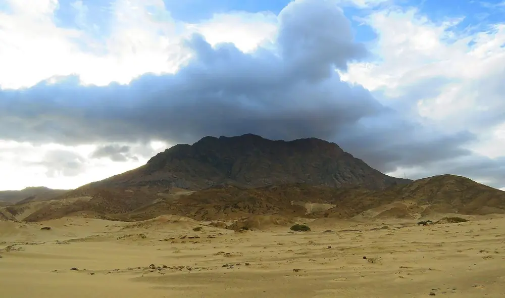 El Área de Conservación Privada Lomas del Cerro Campana - UNT. Foto: ACP Lomas del Cerro Campana - UNT El Área de Conservación Privada Lomas del Cerro Campana - UNT. Foto: ACP Lomas del Cerro Campana - UNT