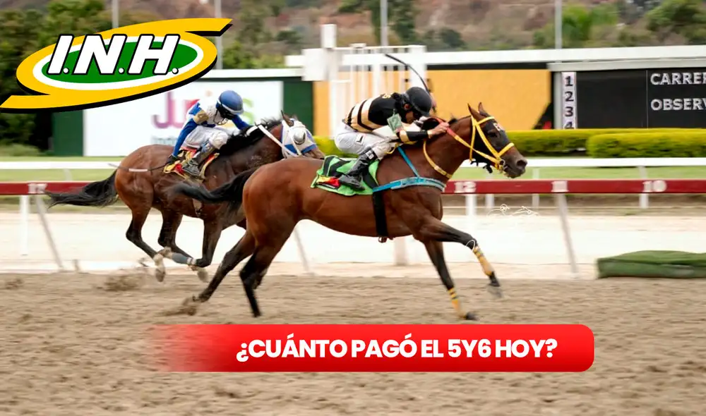 El monto sellado del 5y6 en La Rinconada superó los 31 millones de bolívares el último domingo 7 de julio. Foto: composición LR / INH