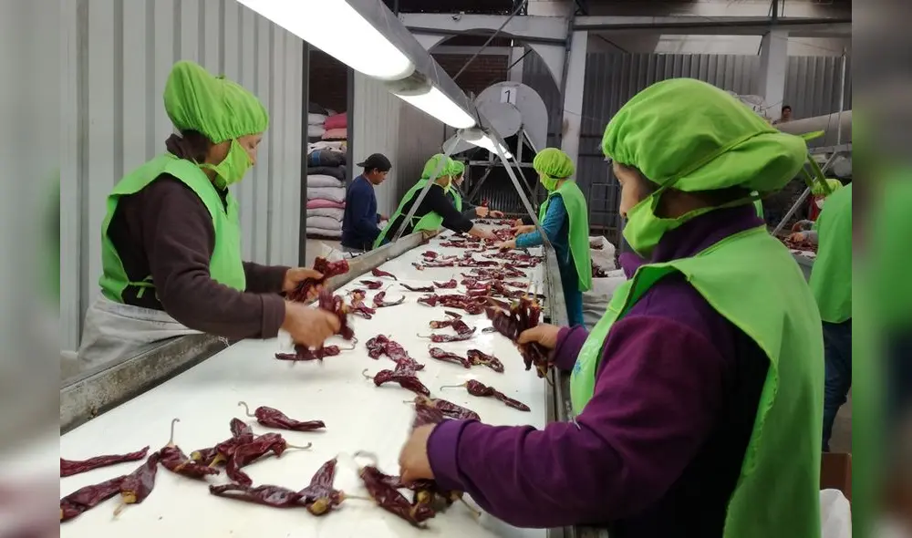 Se crearon 287.004 plazas laborales durante mayo. Fuente: difusión