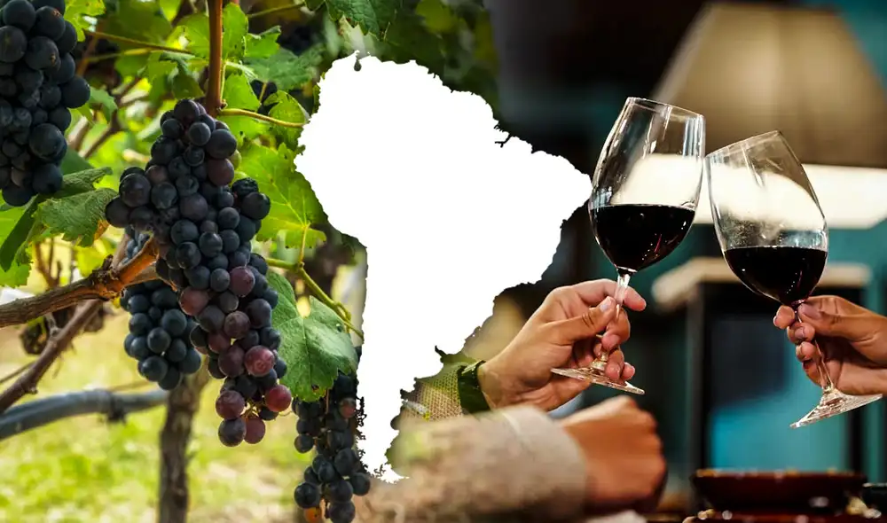Descubre las características y el origen del Trapiche Tesoro Malbec 2022, galardonado en los Sommelier's Choice Awards. Foto: composición LR/referencial Pexels/Tupungato Valley Descubre las características y el origen del Trapiche Tesoro Malbec 2022, galardonado en los Sommelier's Choice Awards. Foto: composición LR/referencial Pexels/Tupungato Valley