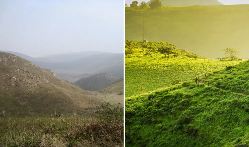 Este desierto de Lima llama la atención porque en él ocurre uno de los fenómenos naturales más impresionantes del Perú. Foto: El Peruano/Blogpost
