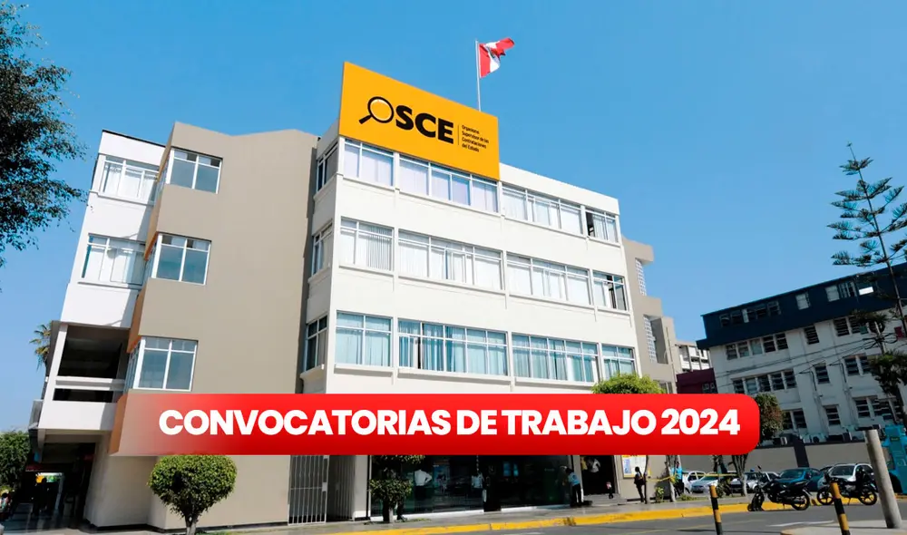 Tienes para postular hasta el jueves 25 de julio. Foto: OSCE