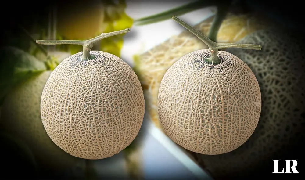 Descubre por qué el melón Yubari, cultivado en Hokkaido, Japón, es la fruta más cara del mundo, alcanzando precios de hasta 11 mil dólares  en subastas. Foto: composición LR/Esquire/
