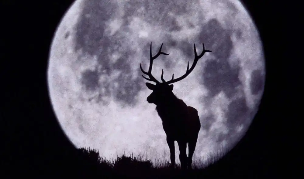 La Luna de ciervo también es conocida como Luna de Salmón, Luna de Frambuesa o Thunder Moon. Foto: avante.biz