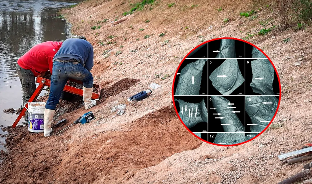 Los restos se encontraron cerca del Obelisco. Foto: composición LR/ El Clarín