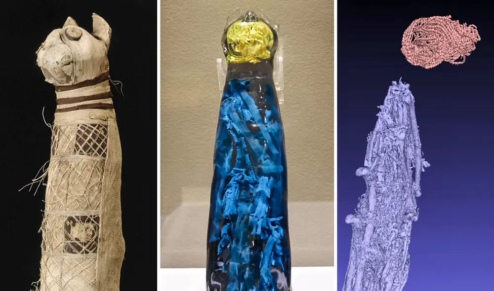Momia egipcia de gato exhibida en el Museo de Bellas Artes de Rennes en representación real e impresión 3D. Foto: Museo de Rennes Momia egipcia de gato exhibida en el Museo de Bellas Artes de Rennes en representación real e impresión 3D. Foto: Museo de Rennes