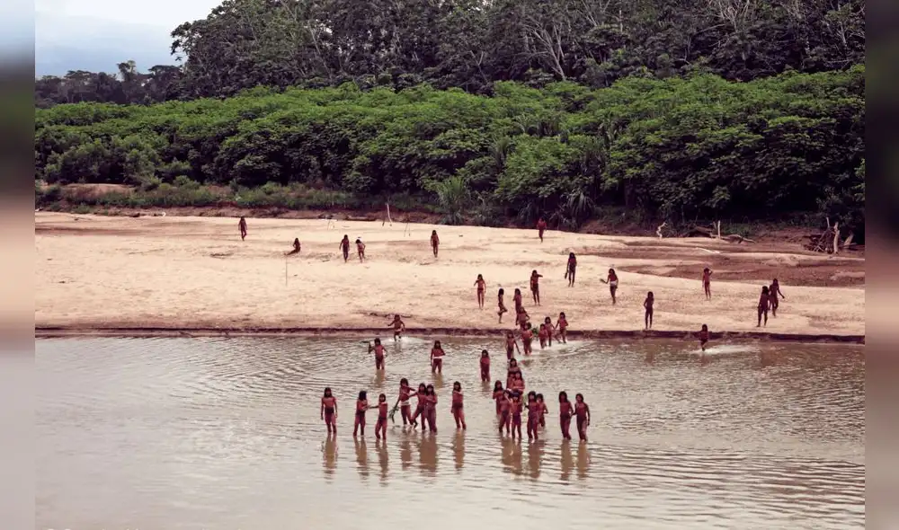 El pueblo Mashco Piro ha sido estrechamente asociado con los Yine porque se considera que ambos hablan la misma lengua. Foto: Survival Internacional El pueblo Mashco Piro ha sido estrechamente asociado con los Yine porque se considera que ambos hablan la misma lengua. Foto: Survival Internacional