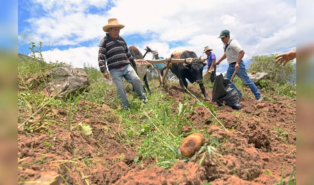 El GRI cuenta con el respaldo de SECO, el centro de competencia suizo para el desarrollo económico. Foto: Difusión