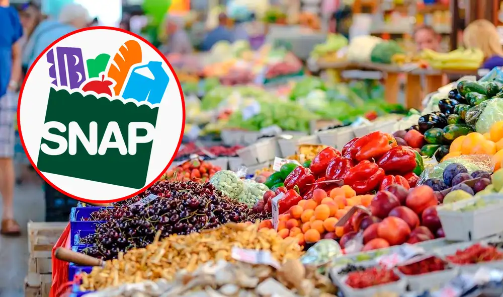 Los cupones SNAP son una ayuda del gobierno de Estados Unidos con las personas más necesitadas. Foto: composición LR/Freepik