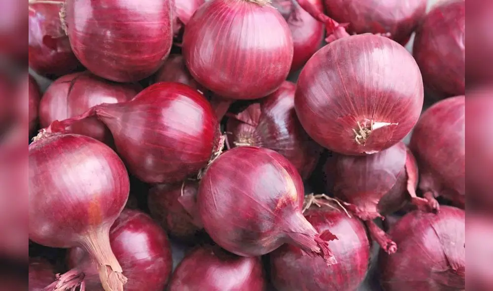 Midagri anticipa abundantes intenciones de siembra por mejores condiciones del clima y alto optimismo de los productores. Sin embargo, los cultivos de quinua experimentarán una dura caída. Foto: La República
