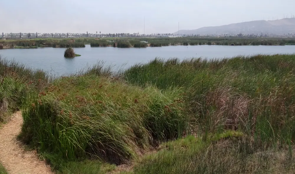 Se espera la llegada de agentes de Criminalística para las diligencias correspondientes. Foto: referencial/Andina