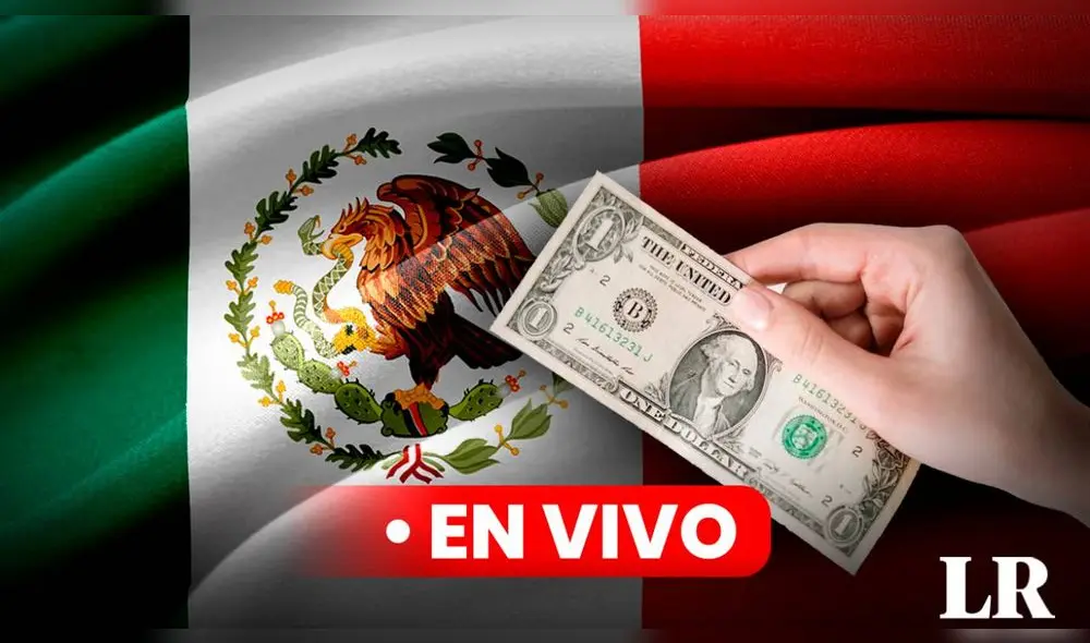 Descubre el precio del dolar en México. Foto: Composición LR/Pixabay