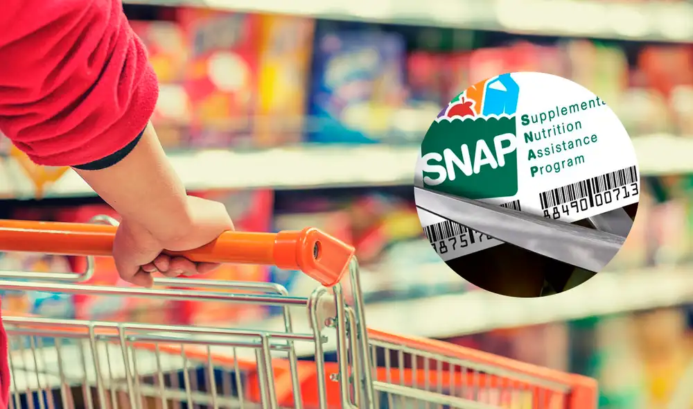 Los cupones SNAP entregarán hasta 1.751 dólares en Texas. Foto: Composición LR
