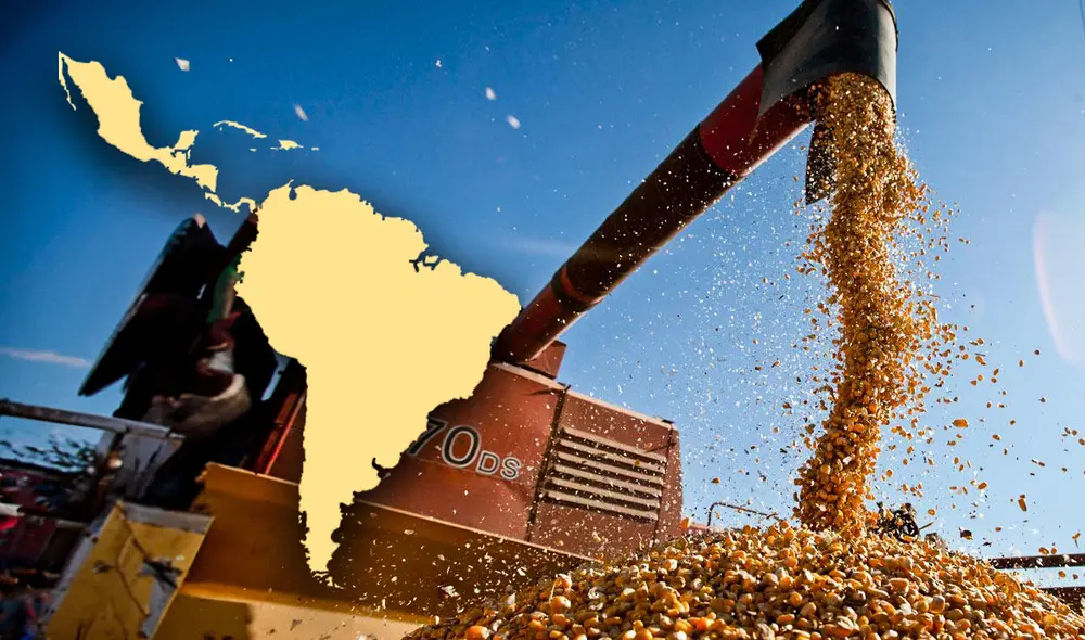 Este país exporta más de 8 millones de toneladas al año. Foto: composición LR/PuroCampo/PNGTree Este país exporta más de 8 millones de toneladas al año. Foto: composición LR/PuroCampo/PNGTree