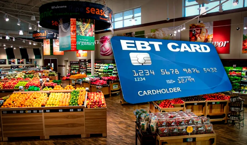 Este programa brindará cheques de manera mensual. Foto: composición LR/Diario2001