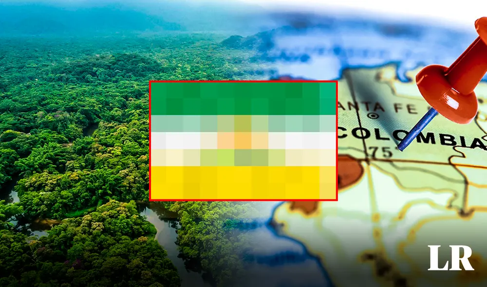La bandera de este nuevo departamento representa los recursos y la identidad de la región. Foto: composición LR / Shutterstock / difusión La bandera de este nuevo departamento representa los recursos y la identidad de la región. Foto: composición LR / Shutterstock / difusión