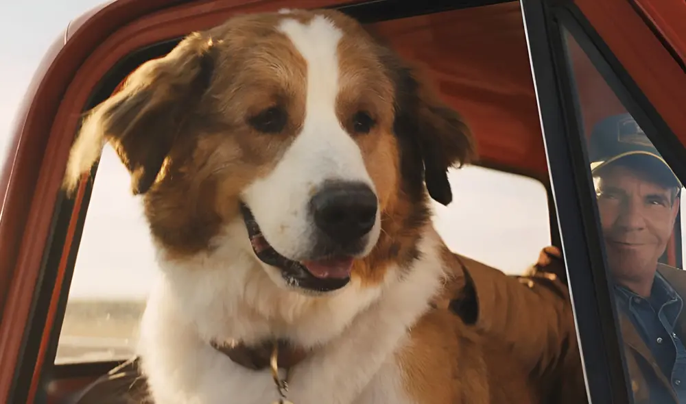 Esta emocionante película sobre un perro fiel dura 1 hora con 48 minutos. Foto: Netflix