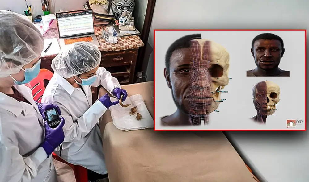 El cementerio de la Hacienda La Quebrada, en Cañete, fue descubierta hace 5 años. Foto: Andina El cementerio de la Hacienda La Quebrada, en Cañete, fue descubierta hace 5 años. Foto: Andina