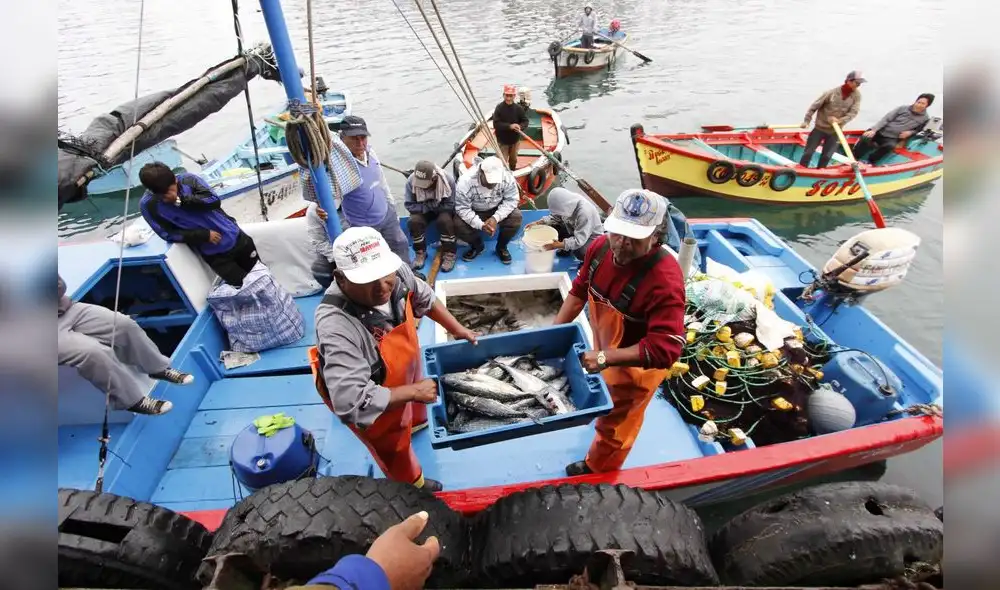 La economía peruana crecerá 3,1% este 2024 gracias a la pesca, según el BCRP. Foto: difusión