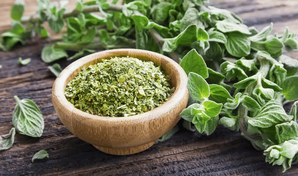 El orégano contiene beta-cariofileno, un compuesto que puede ayudar a aliviar el dolor crónico. Foto: Buenazo
