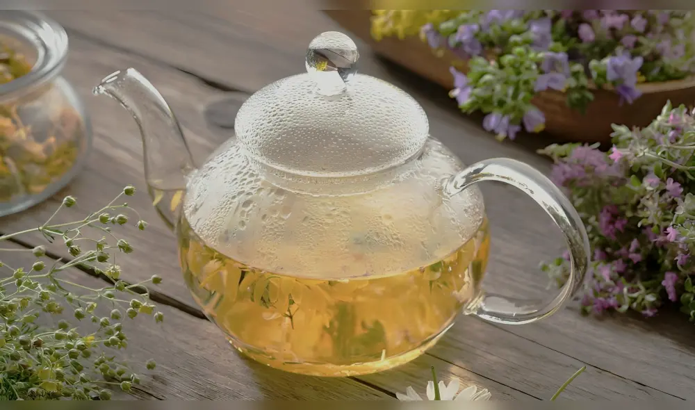 Esta planta es esencial para mejorar el funcionamiento del organismo. Foto: Cuerpo y mente