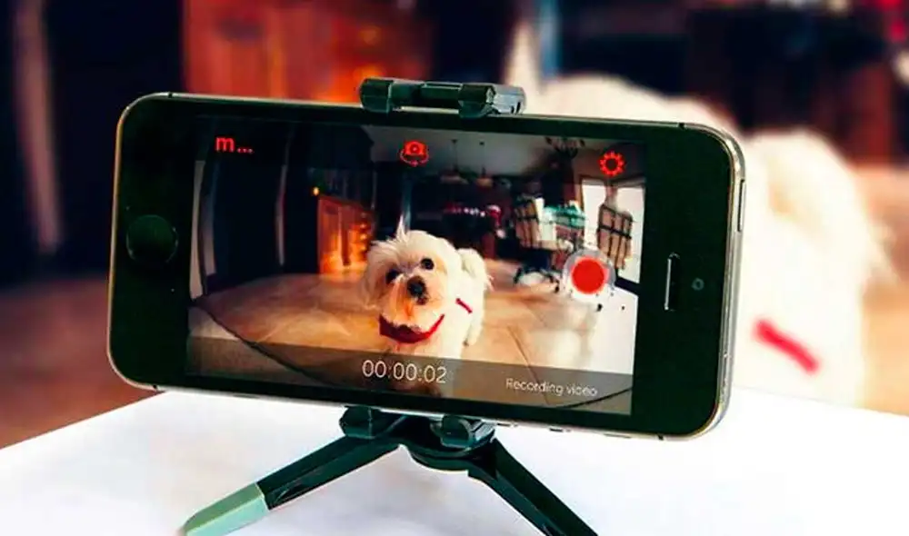 Necesitarás una app que funcione en Android y iPhone. Foto: El confidencial