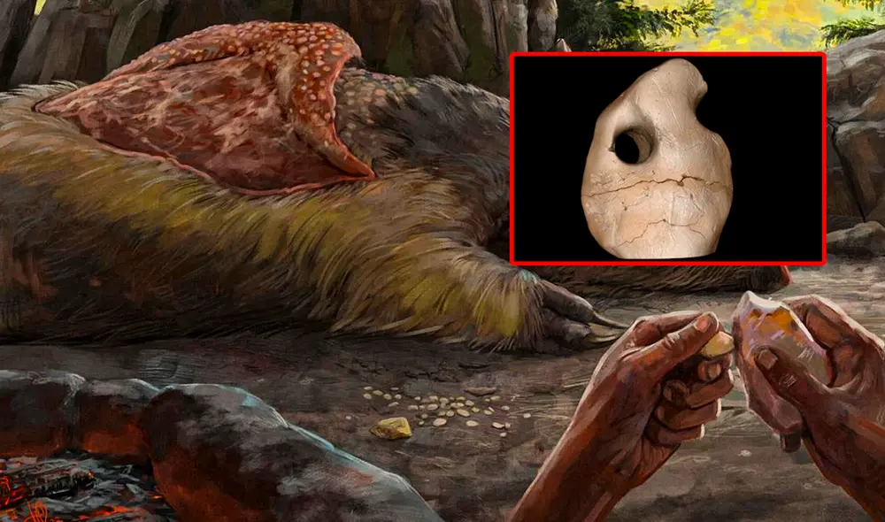 Estos artefactos, cuidadosamente trabajados y utilizados como adornos personales, reflejan un nivel de sofisticación. Foto: Composición LR/Júlia d'Oliveira.